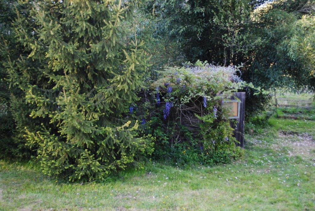 Maison D'Hotes Le Moulin Pointu Sainte-Nathalène Zewnętrze zdjęcie